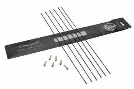 Campagnolo Bora One Eiker