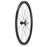 Campagnolo Bora Ultra Wto 33 Disc Tubeless Landsvägshjulset