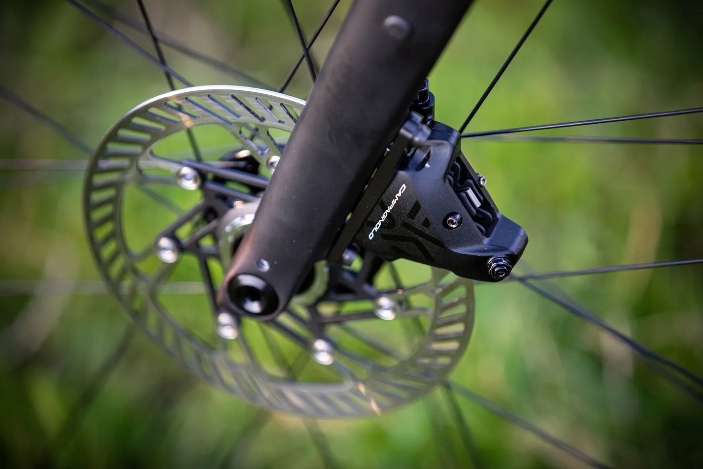 Campagnolo Ekar Bromsskiva