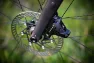 Campagnolo Ekar Bromsskiva