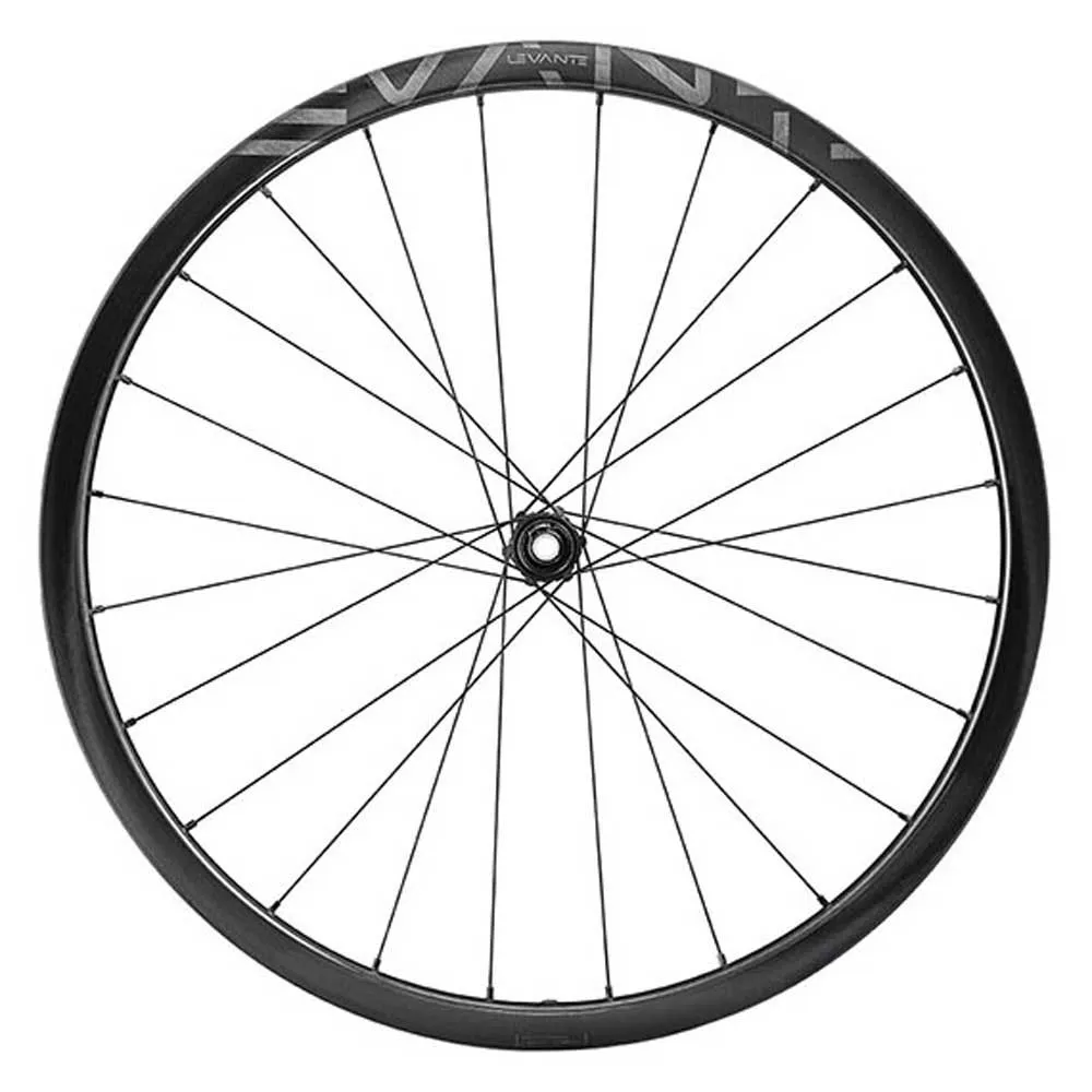 Campagnolo Levante 30 2wf Cl Disc Grus Bakhjul