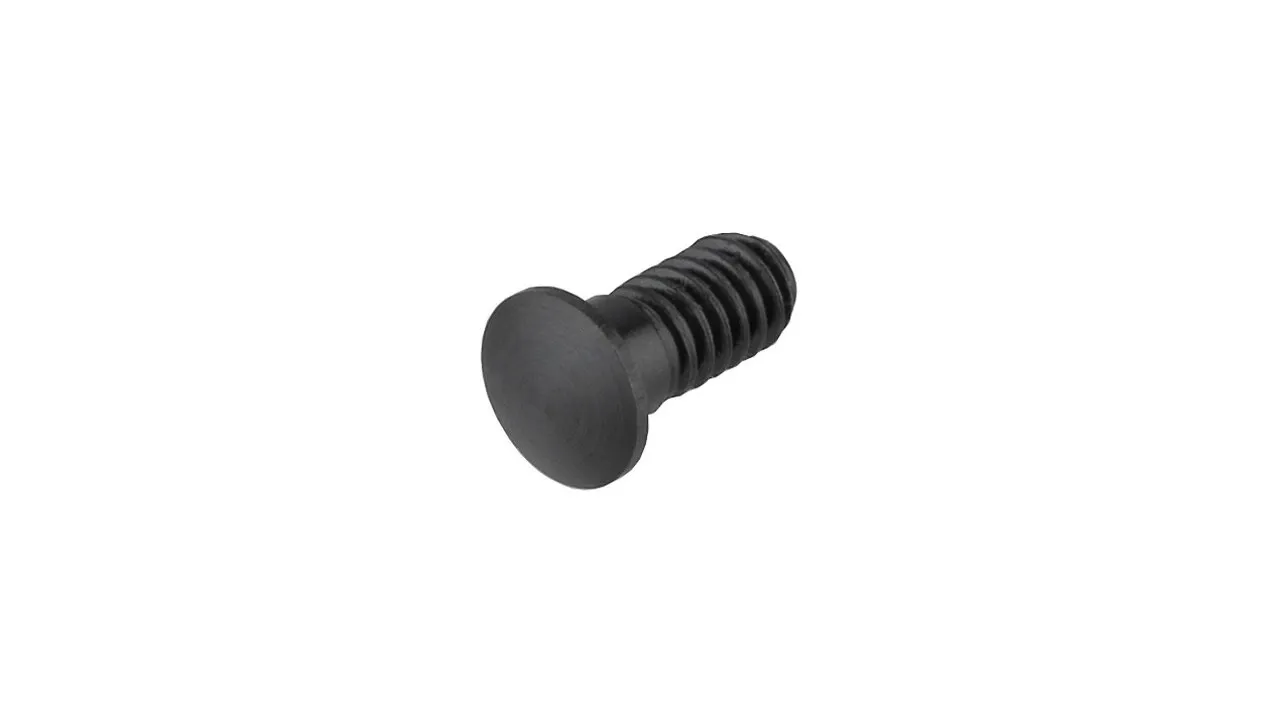 Campagnolo Nipple insert Magnet Campagnolo Nipple insert Magnet