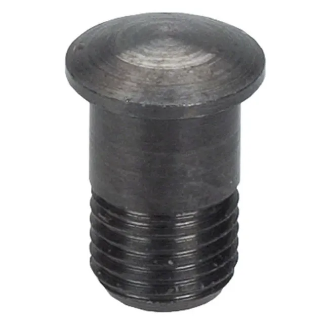Campagnolo Nipple insert Magnet