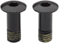 Campagnolo Rulltriss Bultar