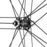 Campagnolo Shamal Ultra DB Hjulset