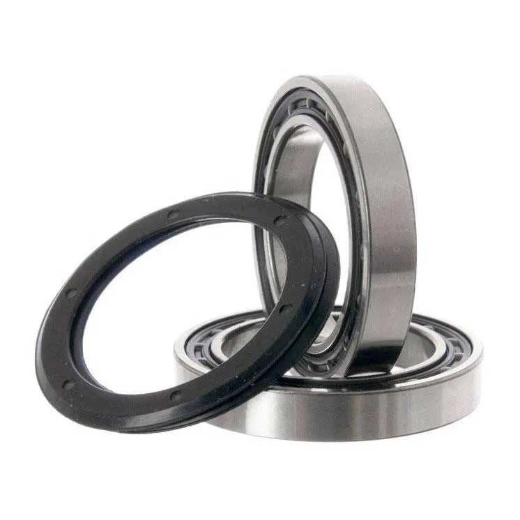 Campagnolo Ultra Torque Record Vevlager, Silver, One Size Campagnolo Ultra Torque Record Vevlager, Silver, One Size