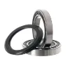 Campagnolo Ultra Torque Record Vevlager, Silver, One Size