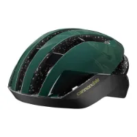 Cannondale Dynam Mips Hjälm