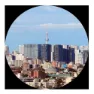 Canon Binocular Is Iii 12x36 Kikare, Black, One Size