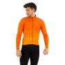 Orange Rust
