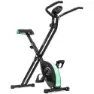 Cecotec X-bike Motionscykel, Black / green, One Size
