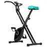 Cecotec X-bike Motionscykel, Black / green, One Size