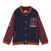 Cerda Group Cotton Brushed Harry Potter Tröja