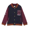 Cerda Group Cotton Brushed Harry Potter Tröja, Dark blue, 7Y