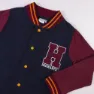 Cerda Group Cotton Brushed Harry Potter Tröja, Dark blue, 7Y