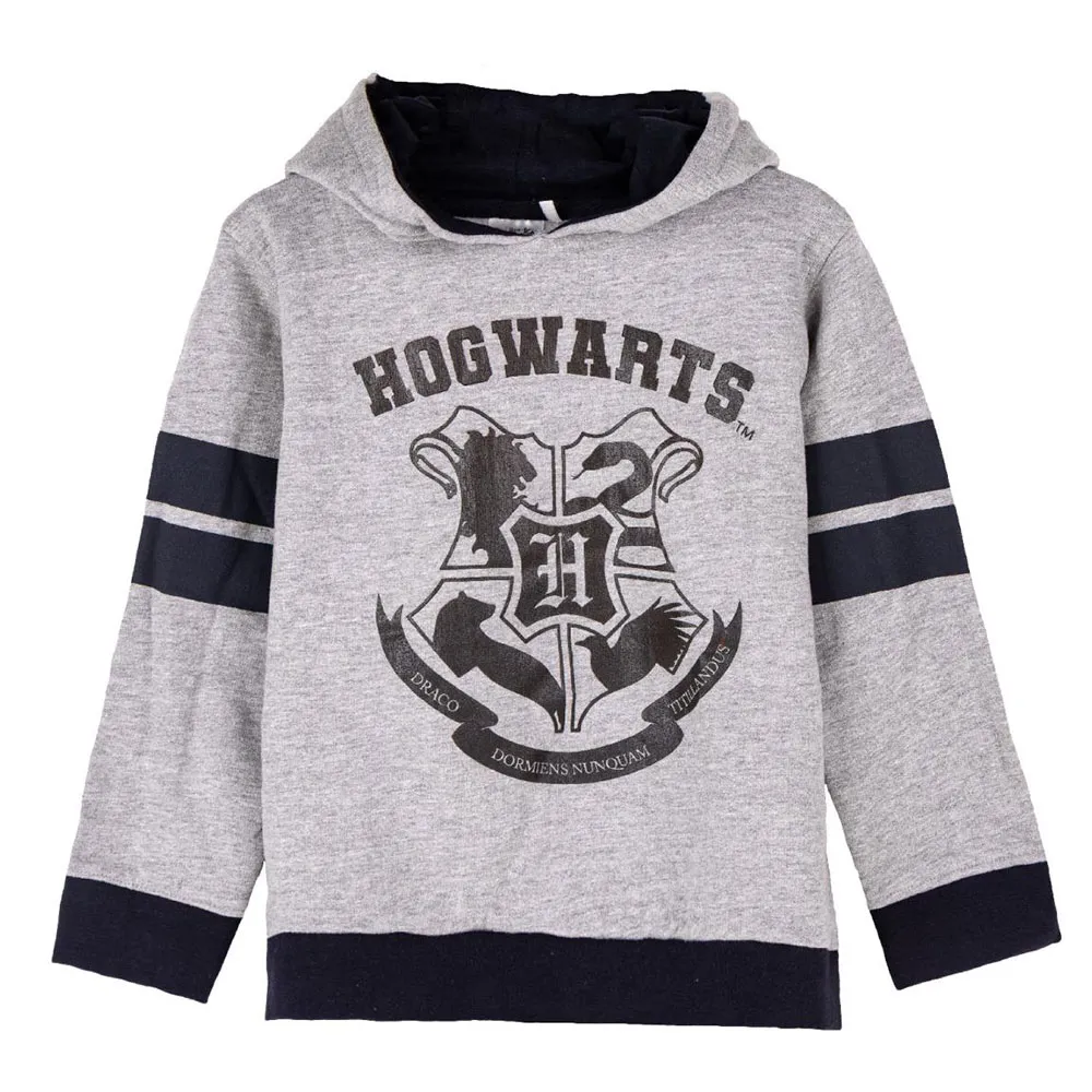 Cerda Group Cotton Brushed Harry Potter Tröja Med Huva, Gray, 7Y