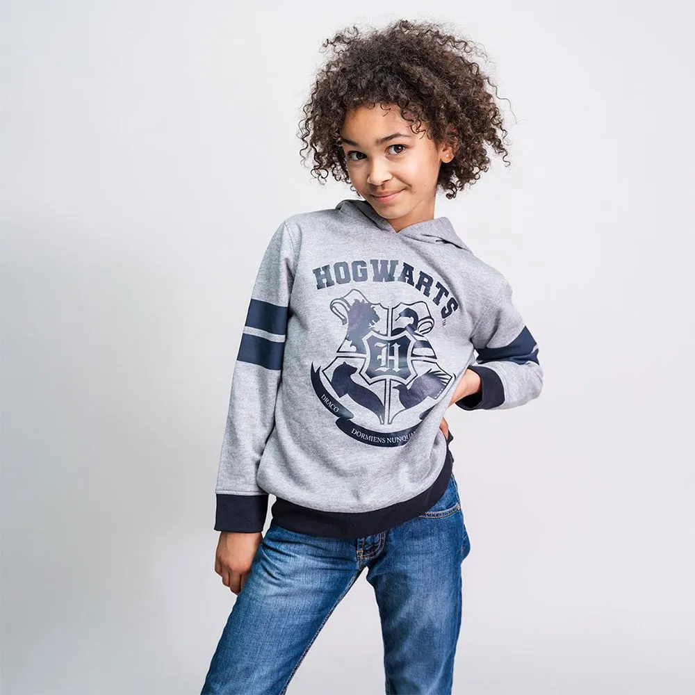 Cerda Group Cotton Brushed Harry Potter Tröja Med Huva, Gray, 7Y