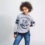 Cerda Group Cotton Brushed Harry Potter Tröja Med Huva, Gray, 7Y