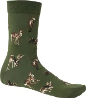 Chevalier Pomeroy Sock