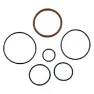 Chris King O-ringssats För R45/r45d Baknav, Black, One Size