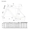 Cinelli King Zydeco Ii Rival Axs 12s Gravelcykel