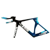 Cinelli Wysiwyg Team Edition 2021 Landsvägscykelram Cinelli Wysiwyg Team Edition 2021 Landsvägscykelram