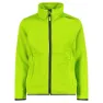 Limegreen