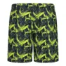 CMP 34r9087 Badbyxor Boxer male