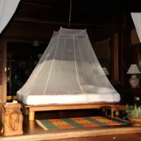 Cocoon Travel Net Ultralight-double Cocoon Travel Net Ultralight-double