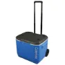 Coleman Performance 56l Styv Bärbar Kylbox, Black / blue, One Size