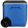Coleman Performance 56l Styv Bärbar Kylbox, Black / blue, One Size