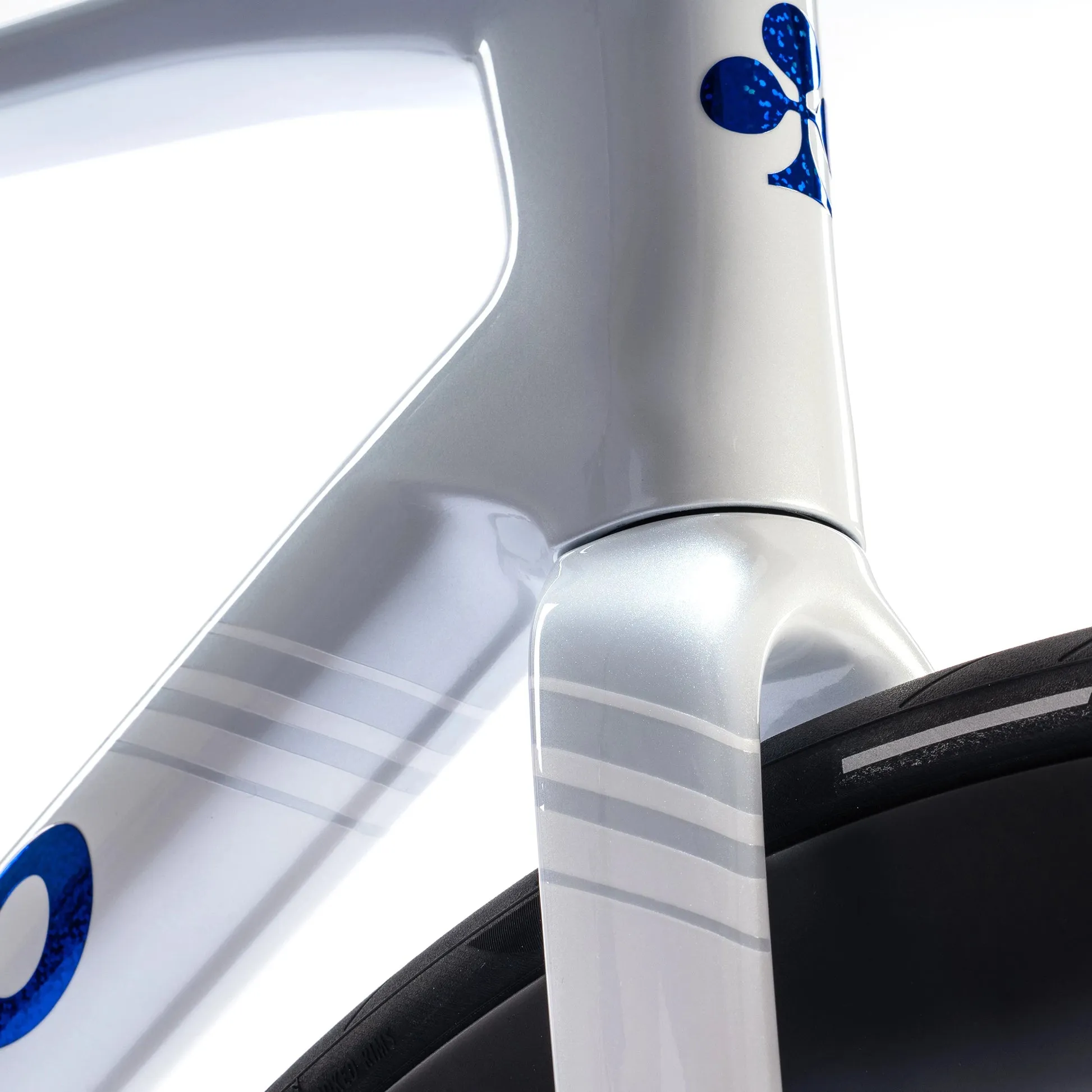 Colnago V5RS Road Frameset