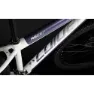 Coluer Ascent 292 29´´ Altus 2023 Mtb Cykel