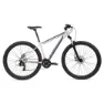 Coluer Ascent 292 29´´ Altus 2023 Mtb Cykel