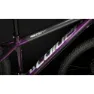 Coluer Ascent 293 29´´ Altus 2023 Mtb Cykel