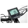 Coluer Greenland 28´´ 2024 Elcykel