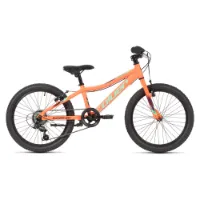 Coluer Raider Ss Vb 20´´ Cykel