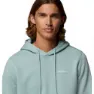 Columbia Men's Meridian Creek Hoodie Csc Center Chest