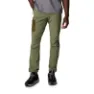 Sage, new olive