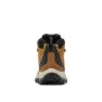 Columbia Newton Ridge™ Ii Waterproof Plus Size Vandringskängor