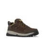 Cordovan / golden yellow