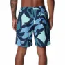 Columbia Summerdry™ Simshorts male, Collegiate navy, 6