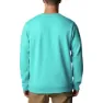 Columbia Tumalo Creek™ Crew Tröja, Bright aqua / bordered csc