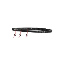 Compressport Portadorsal Race Belt Compressport Portadorsal Race Belt