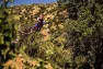 Continental Trail King Däck