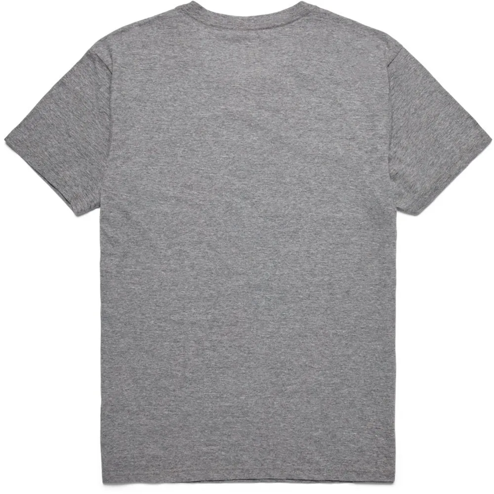 Cotopaxi Altitude Llama T-shirt Med Korta ärmar, Heather grey