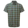 Spruce green check