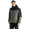 Lichn green / black