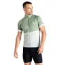 Hedge greenn / aqua grey