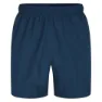 Dare 2b Surrect Shorts, Moonlight denim